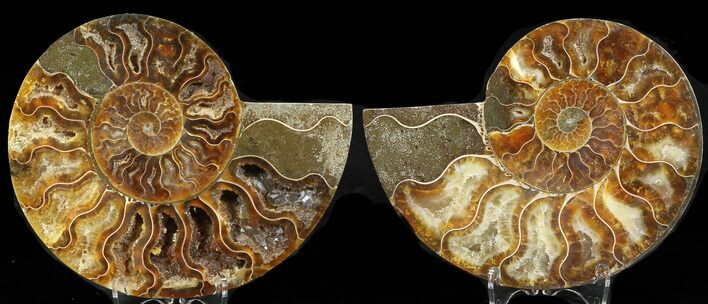Polished Ammonite Pair - Crystal Pockets #32474